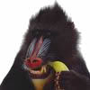 My avatar, a mandrill